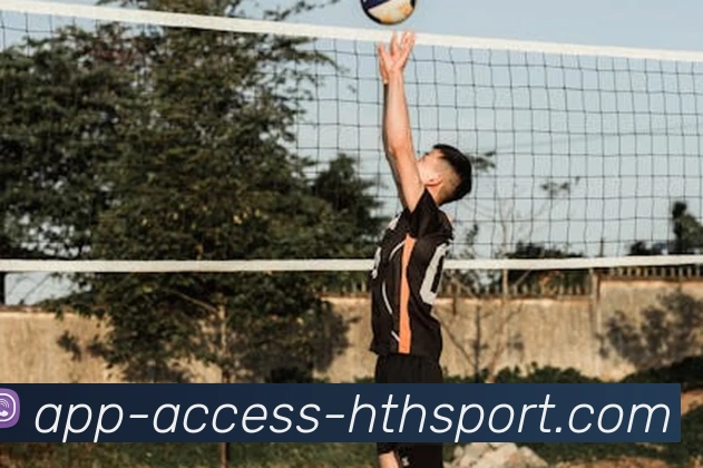 华体会平台生态图